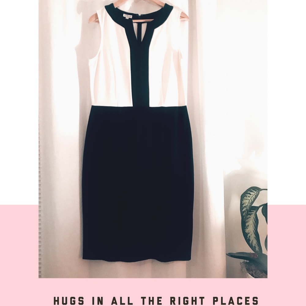 Ann Taylor Factory Dress NWOT